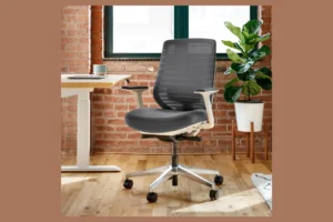 Branch Ergonomic Chair studio photo in graphite finish