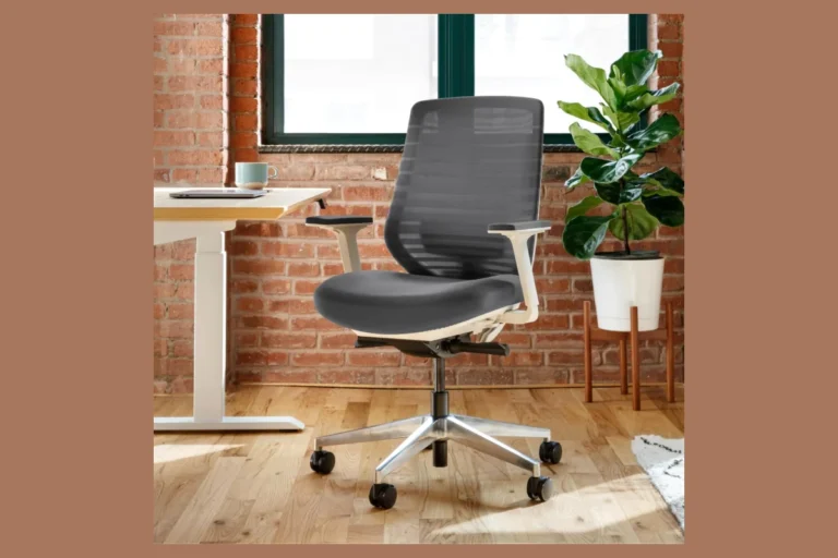 Branch Ergonomic Chair